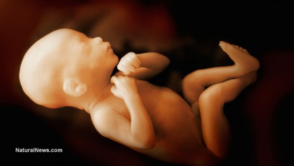 Liberals freak out over Obamacare replacement law – claim it would result in “thousands of births” of babies that should be aborted